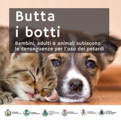 Butta i botti